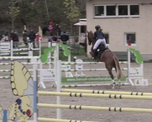 Reitturnier Lgl.-Oberhain, B95 2023