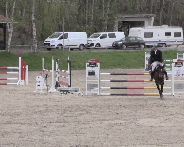 Reitturnier Lgl.-Oberhain, B95 2023