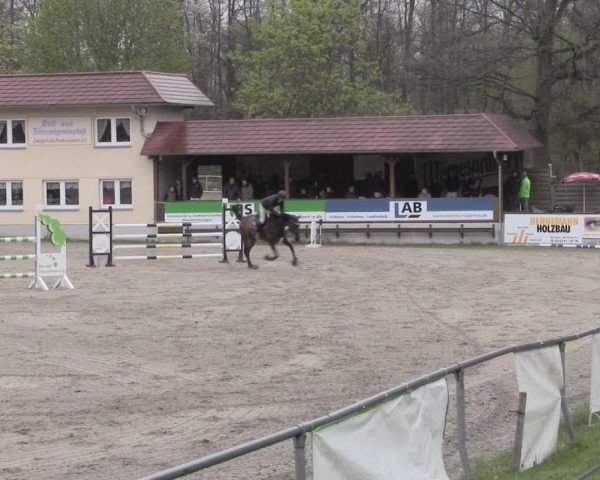 Reitturnier Lgl.-Oberhain, B95 2023