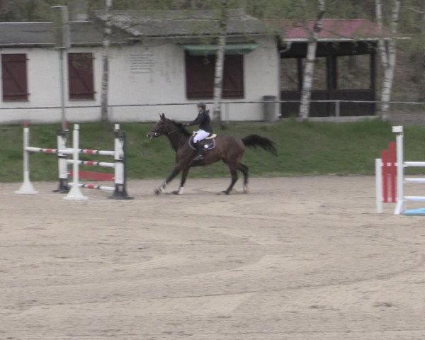 Reitturnier Lgl.-Oberhain, B95 2023
