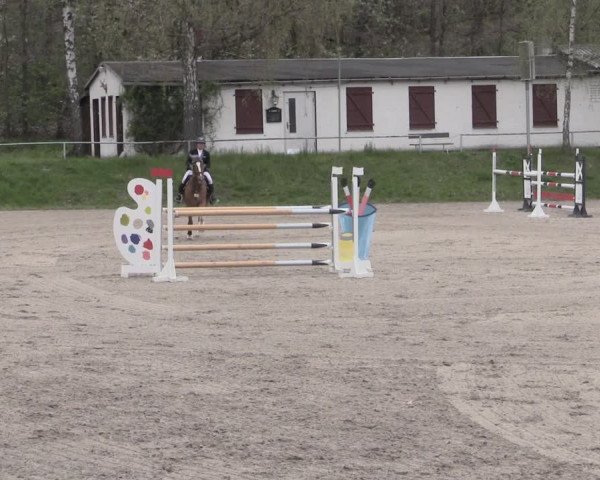 Reitturnier Lgl.-Oberhain, B95 2023