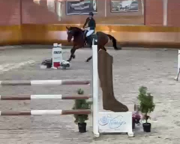 Video of The Great Loui