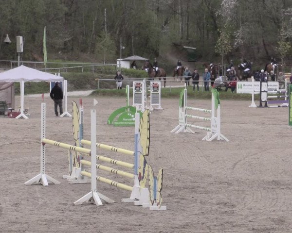 Reitturnier Lgl.-Oberhain, B95 2023