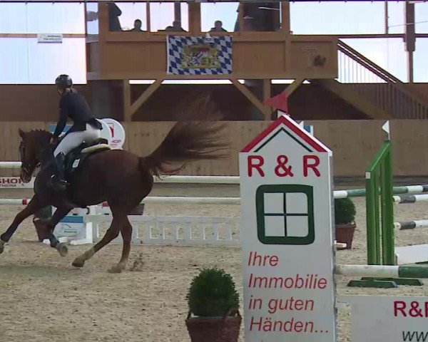 Reitturnier Grafenrheinfeld/Ufr. 2021