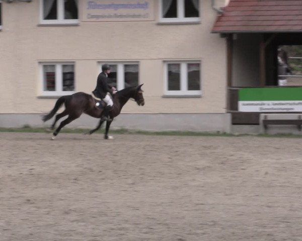 Reitturnier Lgl.-Oberhain, B95 2023