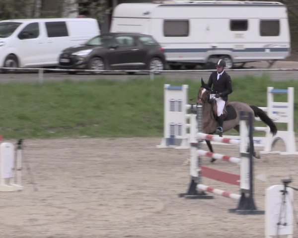 Reitturnier Lgl.-Oberhain, B95 2023