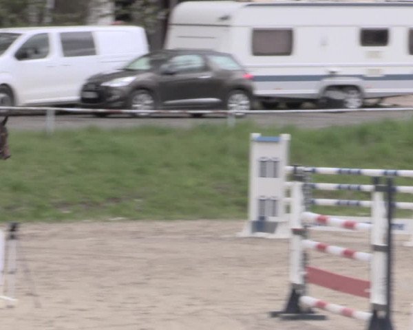Reitturnier Lgl.-Oberhain, B95 2023