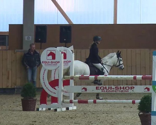 Reitturnier Grafenrheinfeld/Ufr. 2021