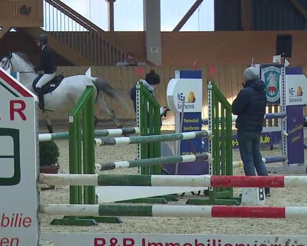 Reitturnier Grafenrheinfeld/Ufr. 2021