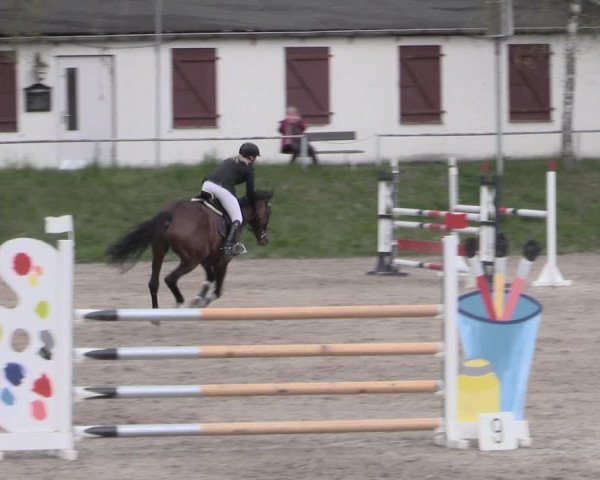 Reitturnier Lgl.-Oberhain, B95 2023