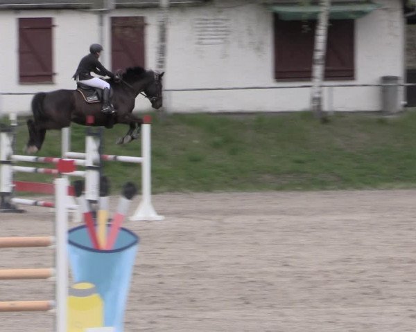 Reitturnier Lgl.-Oberhain, B95 2023