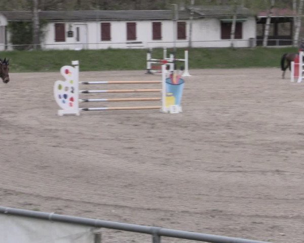 Reitturnier Lgl.-Oberhain, B95 2023