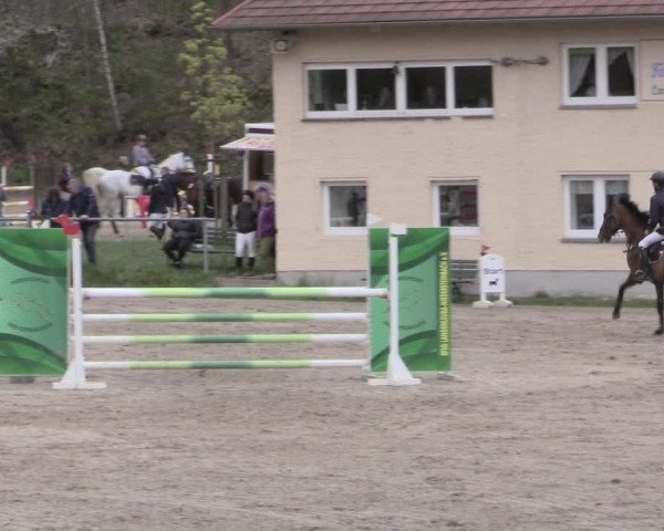 Reitturnier Lgl.-Oberhain, B95 2023