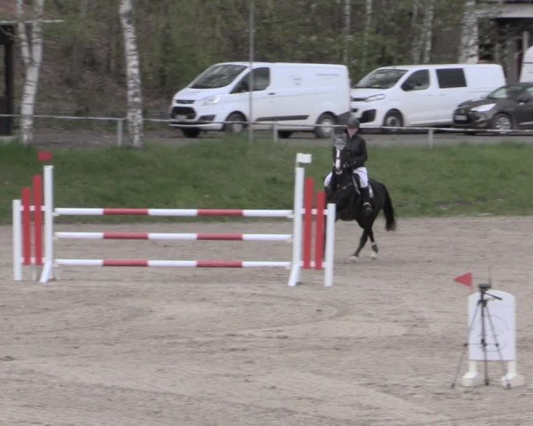 Reitturnier Lgl.-Oberhain, B95 2023