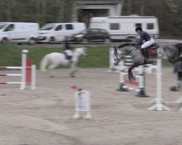 Reitturnier Lgl.-Oberhain, B95 2023