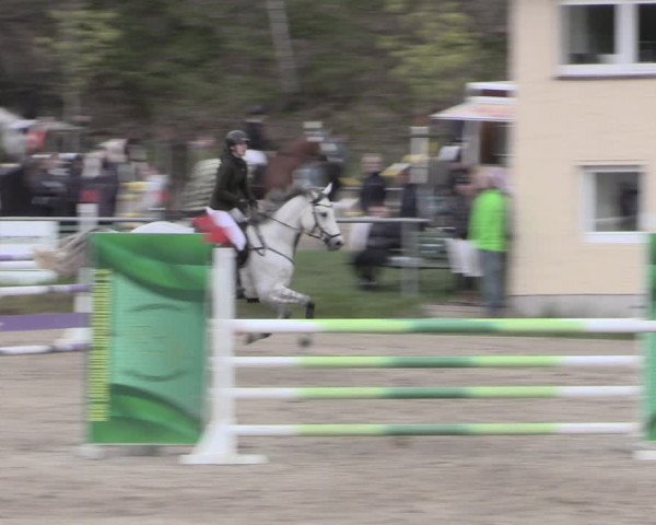 Reitturnier Lgl.-Oberhain, B95 2023