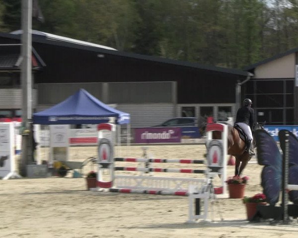 Reitturnier Olfen-Vinnum 2023