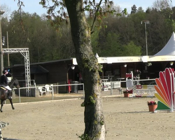Reitturnier Olfen-Vinnum 2023