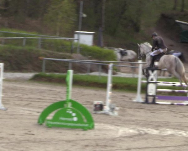 Reitturnier Lgl.-Oberhain, B95 2023