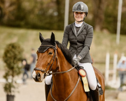jumper Trixi 499 (Westphalian, 2015, from Tangelo van de Zuuthoeve)