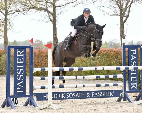 Springpferd Caletta 121 (Oldenburger, 2016, von Casalido)