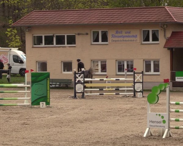 Reitturnier Lgl.-Oberhain, B95 2023