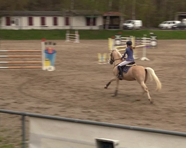 Reitturnier Lgl.-Oberhain, B95 2023
