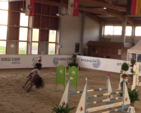 Reitturnier Prussendorf 2021