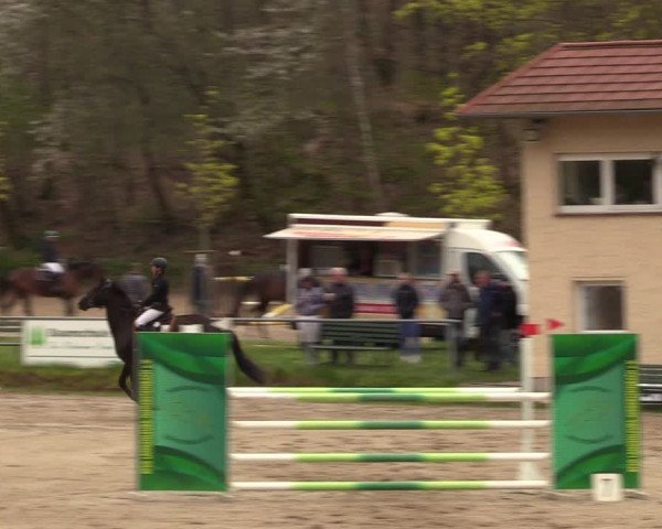 Reitturnier Lgl.-Oberhain, B95 2023