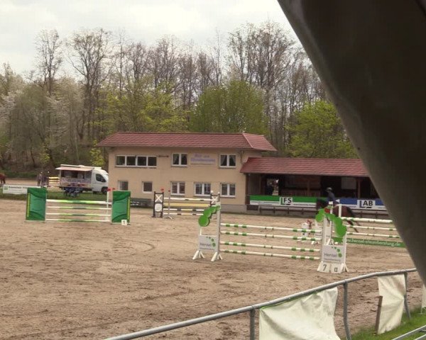 Reitturnier Lgl.-Oberhain, B95 2023