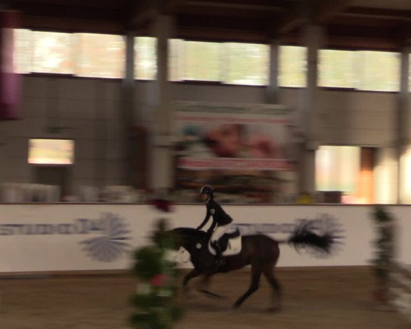 Reitturnier Prussendorf 2021
