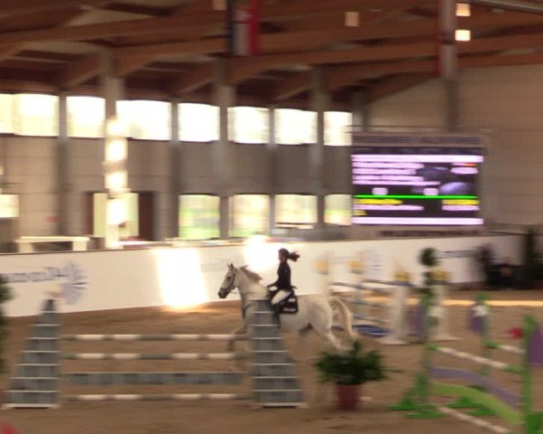 Reitturnier Prussendorf 2021