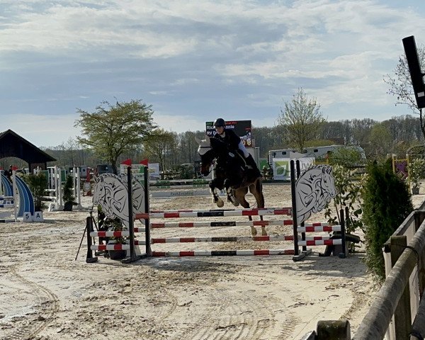 jumper Concerto of Fantasy (Oldenburg, 2010, from Corlensky G) jumper Concerto of Fantasy (Oldenburg, 2010, from Corlensky G)