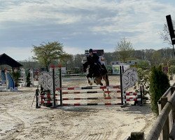 jumper Concerto of Fantasy (Oldenburg, 2010, from Corlensky G)
