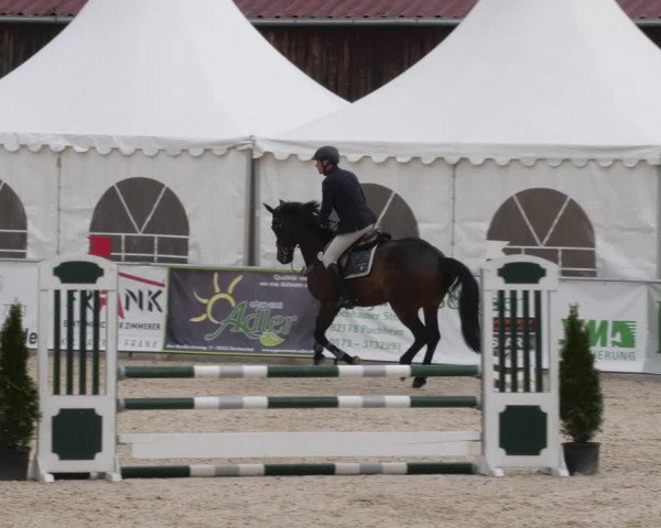 Reitturnier Karlsfeld 2023