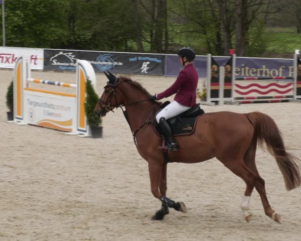 Reitturnier Karlsfeld 2023