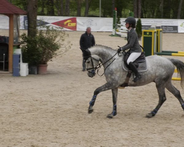 Reitturnier Karlsfeld 2023