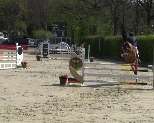 Reitturnier Olfen-Vinnum 2023