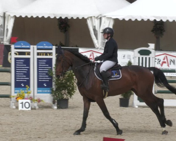 Reitturnier Karlsfeld 2023