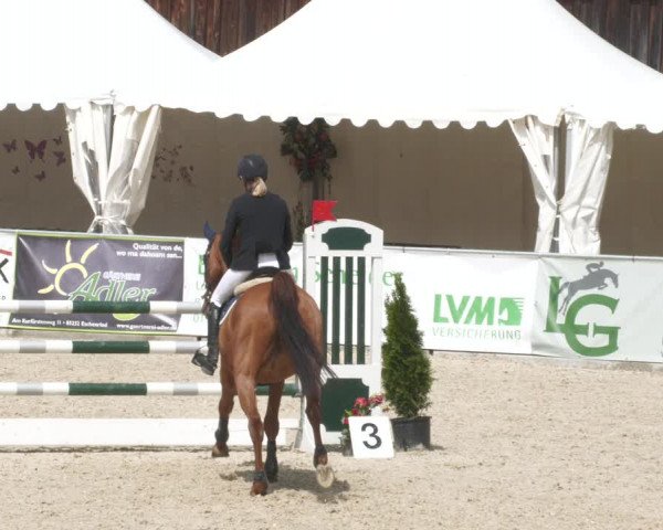Reitturnier Karlsfeld 2023