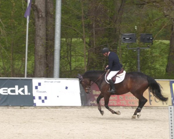 Reitturnier Karlsfeld 2023