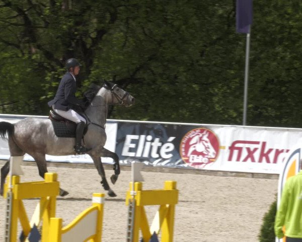 Reitturnier Karlsfeld 2023