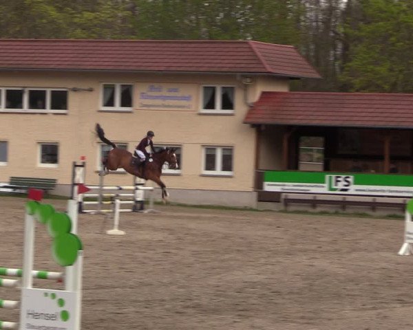 Reitturnier Lgl.-Oberhain, B95 2023