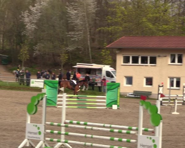 Reitturnier Lgl.-Oberhain, B95 2023