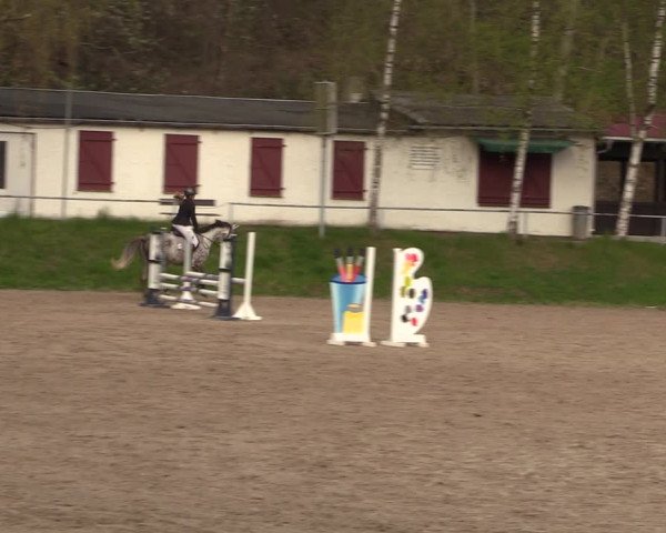 Reitturnier Lgl.-Oberhain, B95 2023