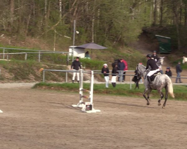 Reitturnier Lgl.-Oberhain, B95 2023