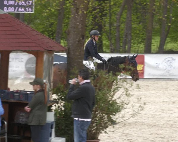 Reitturnier Karlsfeld 2023