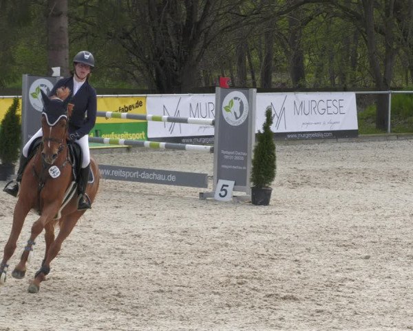 Reitturnier Karlsfeld 2023