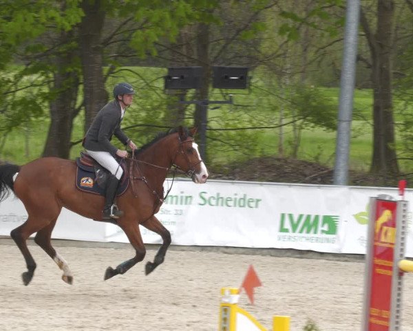 Reitturnier Karlsfeld 2023