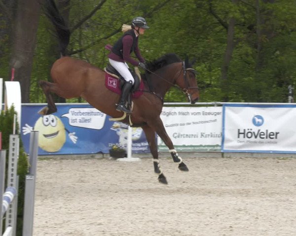 Reitturnier Karlsfeld 2023